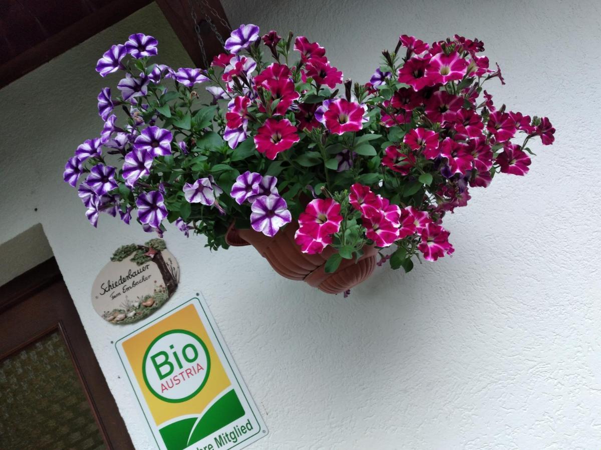 Bio-Bauernhof Schiederhof Appartement Fusch an der Grossglocknerstrasse Buitenkant foto